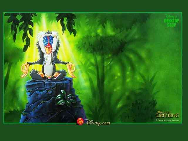 Lion The King #434