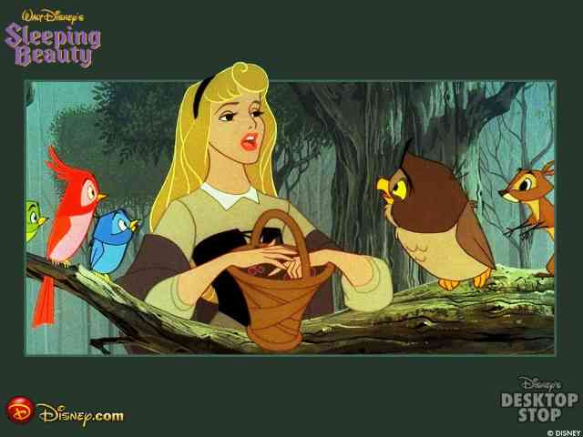 Disney Sleeping Beauty #511}