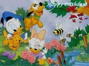 Happy birthday - Happy birthday
