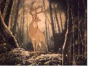 Bambi - &nbsp;