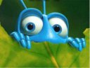 Bugs Life - &nbsp;
