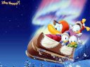 Donald Duck - &nbsp;