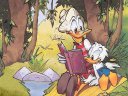 Donald Duck - &nbsp;