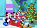 Donald Duck - &nbsp;