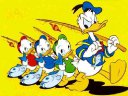 Donald Duck - &nbsp;