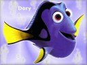 Finding Nemo - &nbsp;