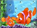 Finding Nemo - &nbsp;