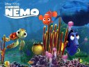 Finding Nemo - &nbsp;