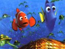Finding Nemo - &nbsp;
