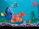 Finding Nemo - &nbsp;