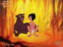 Jungle Book - &nbsp;