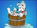 101 Dalmatians - &nbsp;