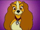 Lady and Tramp - &nbsp;