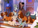 Lady and Tramp - &nbsp;