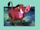 Lion The King - &nbsp;