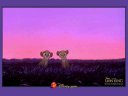 Lion The King - &nbsp;