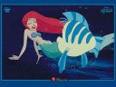 Little Mermaid - &nbsp;