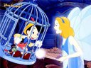 Pinocchio - &nbsp;