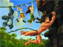 Tarzan - &nbsp;